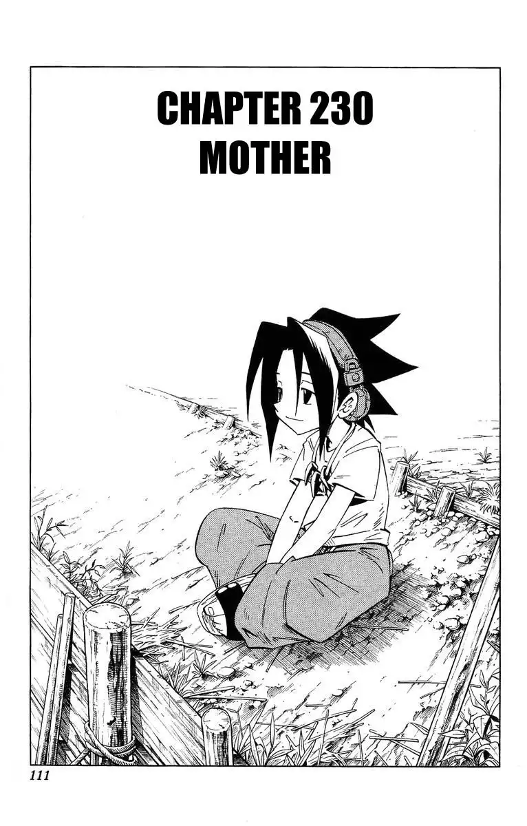 Shaman King Chapter 230 3